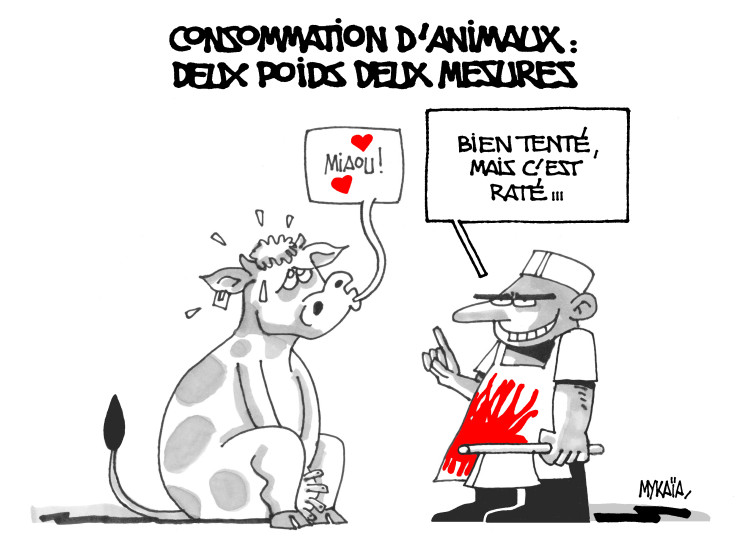 les dessins de presse de Mykaïa